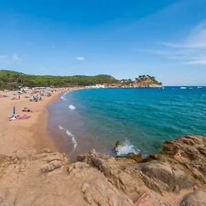 https://vacanceselect-mobil-homes-camping-kims.catalonia-hotels.com